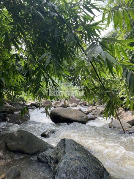 Chính chủ cho thuê căn chung cư Thụy Vân, TP  Việt Trì, Phú Thọ vào ở ngay được