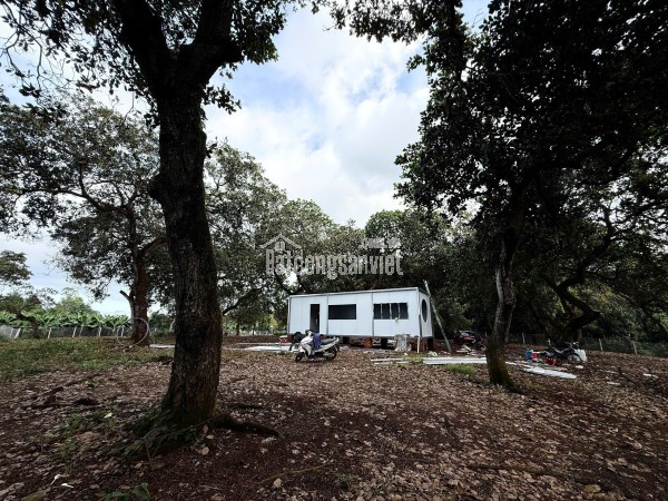 Chính chủ cho thuê căn chung cư Thụy Vân, TP  Việt Trì, Phú Thọ vào ở ngay được