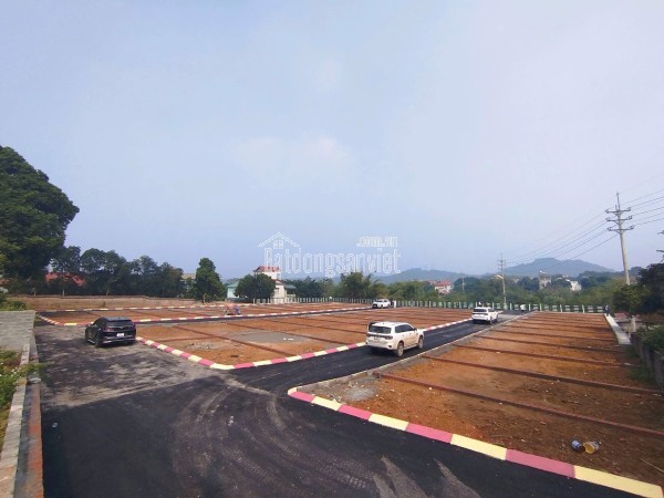 Bán phân  khu mặt biển nam định chỉ từ khoảng 800 triệu/lô kinh doanh