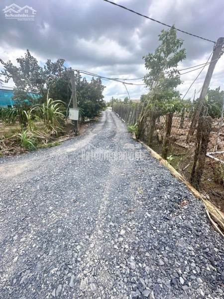 BÁN ĐẤT DT 4.300m2  fULL THỔ CƯ TẠI LONG AN