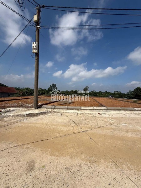 BÁN ĐẤT BA VÌ, HÀ NỘI-SIÊU RẺ-XÂY NHÀ Ở LUÔN-SỔ ĐỎ ĐẸP-GIÁ 350TR