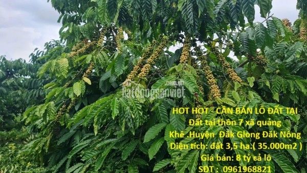 HOT HOT - CẦN BÁN LÔ ĐẤT TẠI  Đất tại thôn 7 xã quảng Khê .Huyện  Đăk Glong Đăk Nông