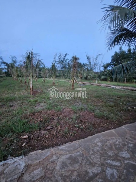 DUY NHẤT GIÁ CHỈ 6TR/M2 SỔ HỒNG FULL THỔ CƯ MẶT TIỀN NGAY CỔNG B SÂN BAY LONG THÀNH