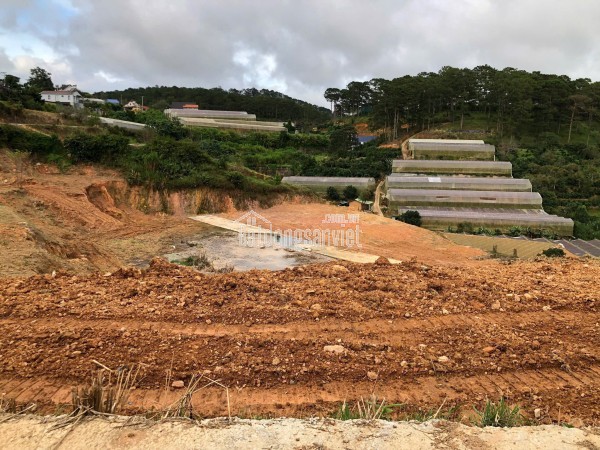 Cần Bán Nhà Mặt Tiền Kinh Doanh Đường Phù Đổng Thiên Vương, Đà Lạt Gần Ngã 5 Đại Học