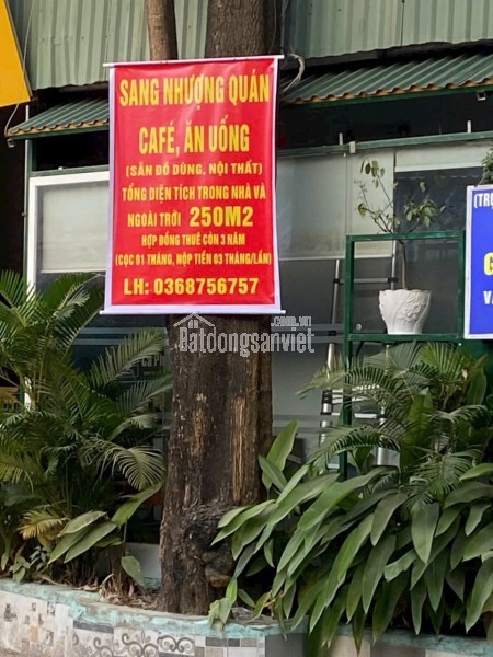 CHÍNH CHỦ CẦN SANG NHƯỢNG GẤP QUÁN CAFE 250m² – MẶT TIỀN 8m TẠI 164 THANH BÌNH, PHƯỜNG MỖ LAO, HÀ