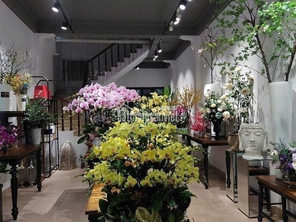 SIÊU HÓT: ĐẤT ĐẤU GIÁ 290M2 MẶT TIỀN NGANG 11M (QUY HOẠCH HẦM +10 LẦU ) TRUNG TÂM Q.1- DÒNG TIỀN