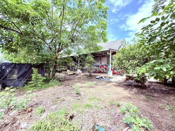 MẶT TIỀN XUÂN THỚI SƠN 16, HÓC MÔN  GIÁ RẺ BẤT NGỜ – NHIỀU LÔ ĐẸP CHỌN THOẢI MÁI!