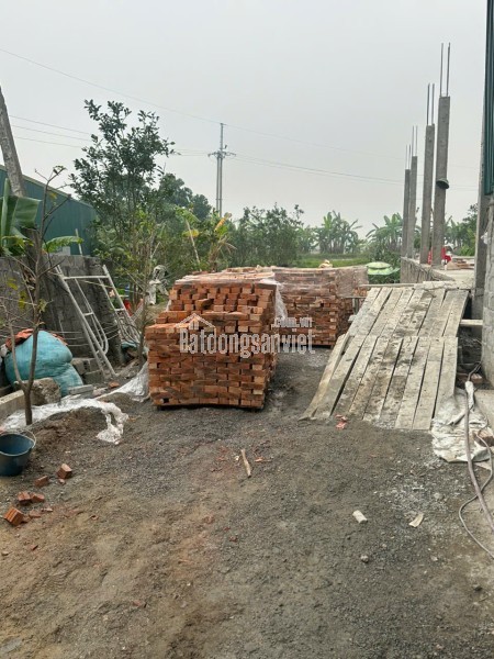 Cho Thuê Ccmn đẹp thoáng 60 Nhân Hòa, Nhân Hòa