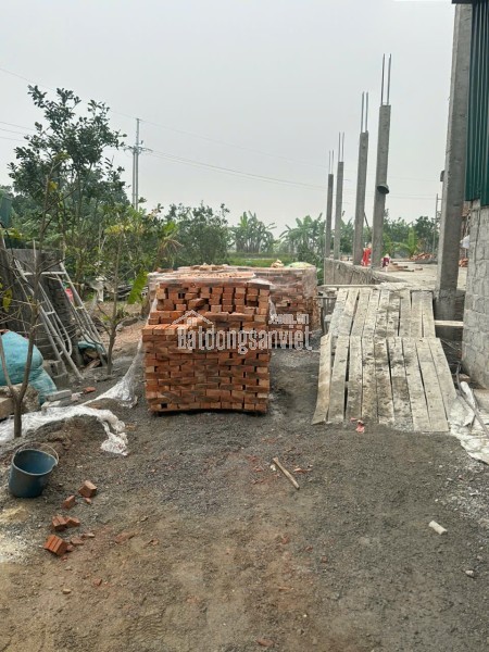 Cho Thuê Ccmn đẹp thoáng 60 Nhân Hòa, Nhân Hòa