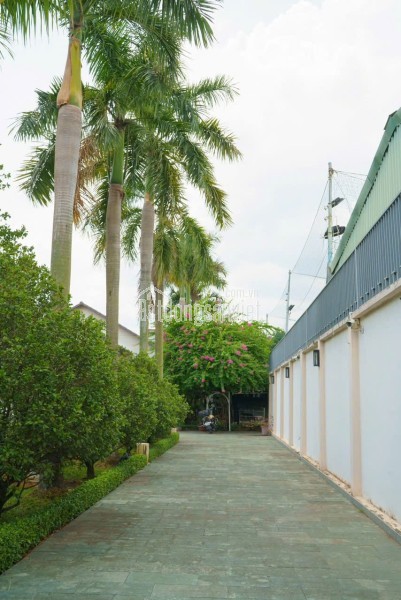 NHÀ ĐẸP (4.5x12) KHU VIP ĐƯỜNG 7M NGUYỄN ẢNH THỦ, Q12 – GIÁ CHỈ 5 TỈ 750TR!