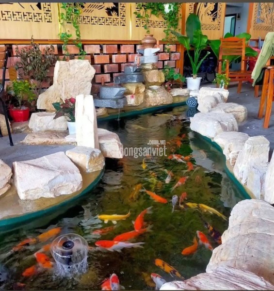 Bán nhà mặt tiền 50x120m giá 95 tỷ Đường Thanh Niên