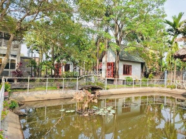 Bán nhà mặt tiền 50x120m giá 95 tỷ Đường Thanh Niên