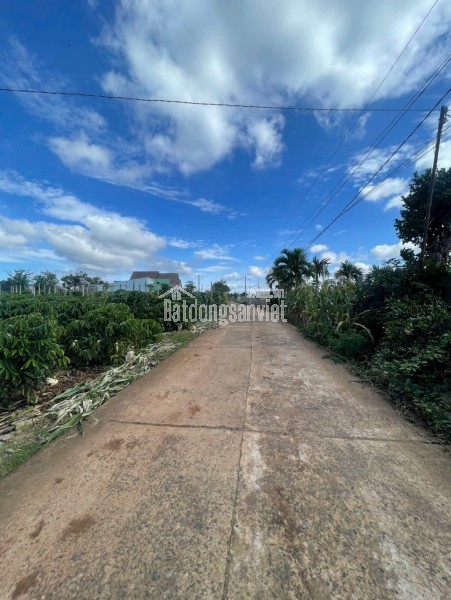 ĐẤT ĐẸP – GIÁ ĐẦU TƯ - CẦN BÁN LÔ ĐẤT TẠI xã Tân Hội  huyện Đức Trọng, tỉnh Lâm Đồng