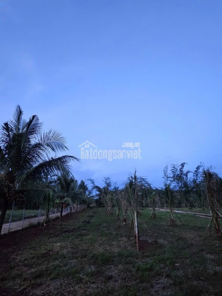 CHỈNH CHỦ BÁN SIÊU PHẨM ĐẤT ĐẸP - Phù Hợp Cho Mọi Gia Đình