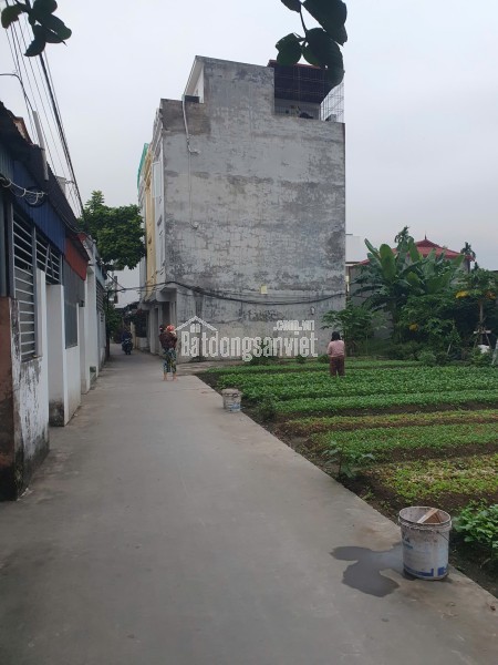 Chính chủ cần bán bạt đất có 102 phù hợp chia xây nhà kinh doanh, biệt thự