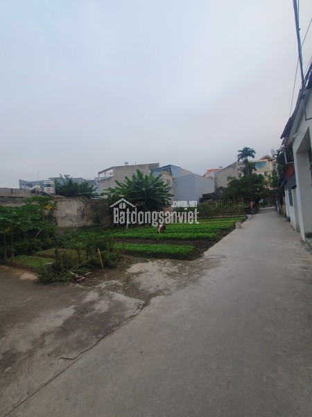 Chính chủ cần bán bạt đất có 102 phù hợp chia xây nhà kinh doanh, biệt thự