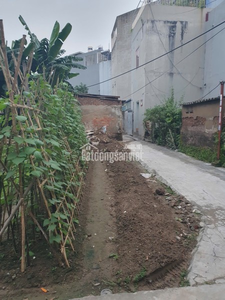 Chính chủ cần bán bạt đất có 102 phù hợp chia xây nhà kinh doanh, biệt thự