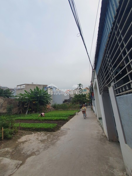 Chính chủ cần bán bạt đất có 102 phù hợp chia xây nhà kinh doanh, biệt thự