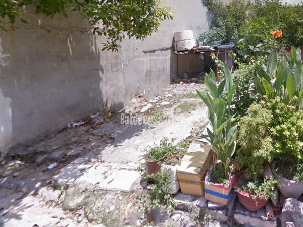 O1720 💖💖 Giảm 800tr! đất Phan Văn Hớn Q12, SHR, Vuông, HXT, 8x18m, 5.x tỷ