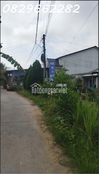 Bán Đất Thổ Cư 143m² Ngã Am, An Hòa, TP Sa Đéc. Sổ Hồng, Hướng Đông, Giá 1.7 Tỷ.