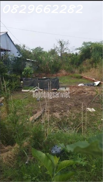 Bán Đất Thổ Cư 143m² Ngã Am, An Hòa, TP Sa Đéc. Sổ Hồng, Hướng Đông, Giá 1.7 Tỷ.