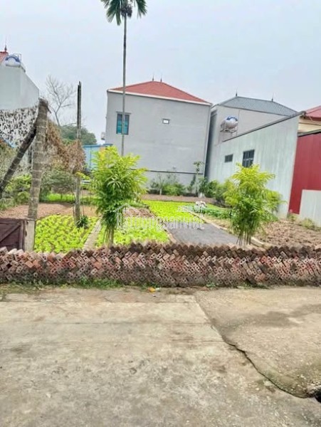 MUỐN BÁN GẤP 51.5M ĐẤT TÍCH GIANG _ PHÚC THỌ _ HÀ NỘI