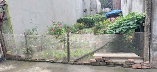 Đất đẹp Quang Minh, vị trí vàng. Gần KCN và khu đất dịch vụ tổ 5 kinh doanh sầm uất