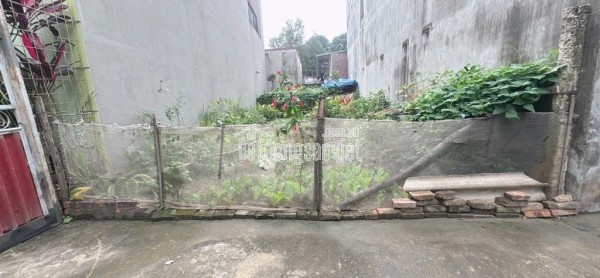 Đất đẹp Quang Minh, vị trí vàng. Gần KCN và khu đất dịch vụ tổ 5 kinh doanh sầm uất