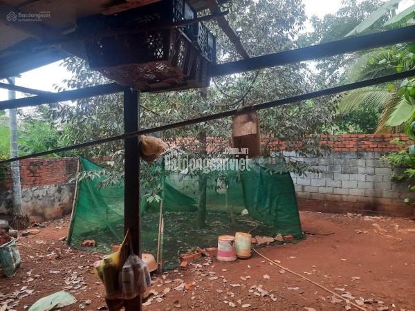 Bán căn biệt thự xây 4 tầng 2 mặt đường, mặt tiền cực rộng 10,5m