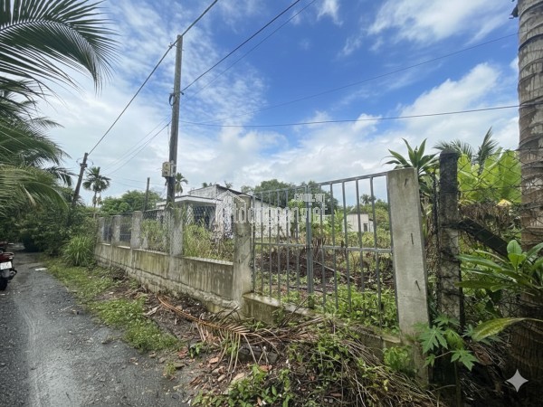 H1746 💥 Giảm 150tr! sát BV175 Gò Vấp, SHR, Nở hậu, 2.5x11m, 4.x tỷ