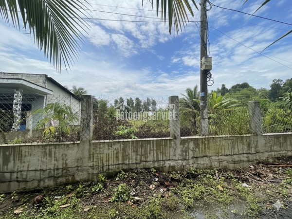 H1746 💥 Giảm 150tr! sát BV175 Gò Vấp, SHR, Nở hậu, 2.5x11m, 4.x tỷ