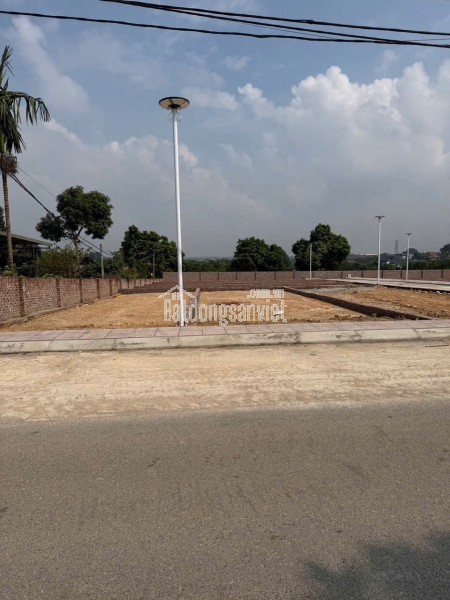 SANG NHƯỢNG GẤP 60M² ĐẤT ĐẸP – ĐAN PHƯỢNG, HÀ NỘI!