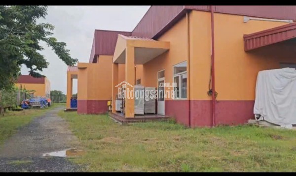 ĐẤT + XƯỞNG (28x138) MẶT TIỀN VÕ THỊ HỒI, XUÂN THỚI ĐÔNG, HÓC MÔN