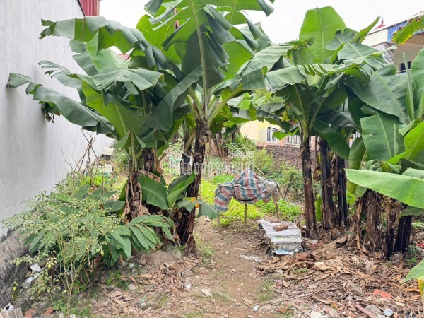 Cần thanh khoản gấp lô đất thôn Chi Đông 5, xã Quang Minh. Đất vuông vắn, đường rộng oto đỗ