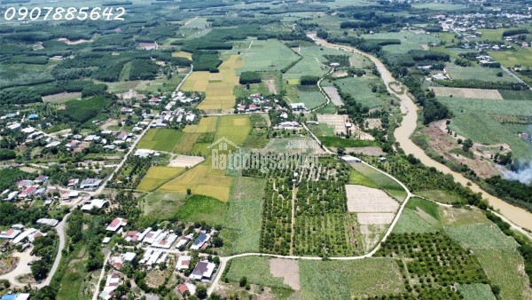 CẦN BÁN MẢNH VƯỜN GIÁ RẺ TẠI NHA TRANG