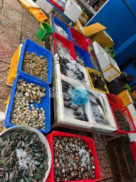 Sang nhượng lại vựa hải sản 339 Phan Bội Châu, Buôn Ma Thuột