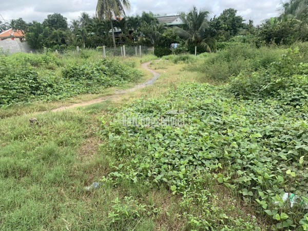 Chính Chủ Bán 229m2 Đất Tại Đường ĐT. 818, Xã Nhị Thành, Huyện Thủ Thừa, Long An