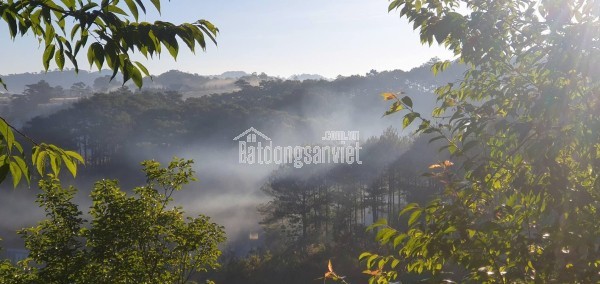 CHO THUÊ NHÀ NGUYÊN CĂN PHÙ ĐỔNG THIÊN VƯƠNG P8 ĐÀ LẠT - 5PN