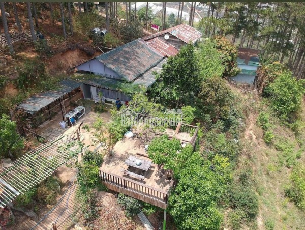 CHO THUÊ NHÀ NGUYÊN CĂN PHÙ ĐỔNG THIÊN VƯƠNG P8 ĐÀ LẠT - 5PN