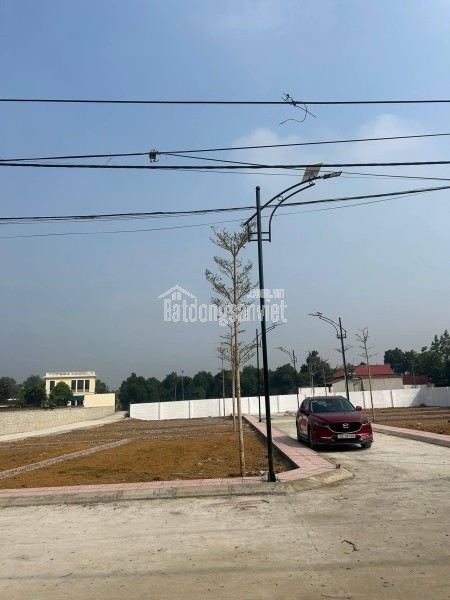 Chính chủ bán đất 120m2 Cổ Đông - Sơn Tây, ngay sát hồ Đồng Mô