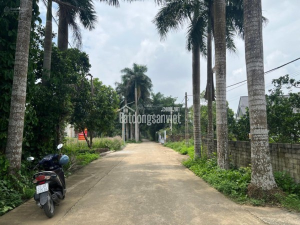 Chính chủ bán đất 120m2 Cổ Đông - Sơn Tây, ngay sát hồ Đồng Mô