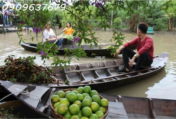 HÀNG HIẾM MỘT KHU DU LỊCH SINH THÁI LUNG TRÀM- CẦN THƠ -17.732M2