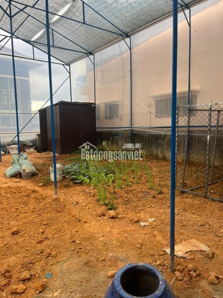 CHO THUÊ VILLA GẦN HỒ XUÂN HƯƠNG – TRUNG TÂM ĐÀ LẠT