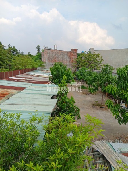 ĐẤT CHÍNH CHỦ- GIÁ TỐT CẦN BÁN NHANH ĐẤT TẶNG NHÀ  VỊ TRÍ ĐẸP tại  xã Vĩnh Lộc B, Bình Chánh, HCM