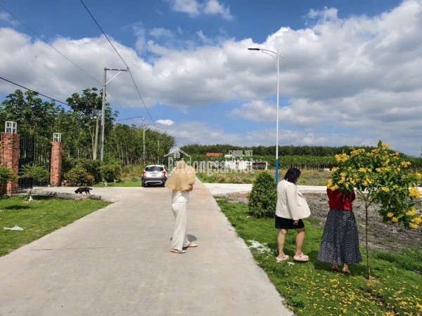 BÁN 2092M2 ĐẤT VƯỜN CÂY ĂN TRÁI TẠI TRỪ VĂN THỐ - HỒ CHÍ MINH