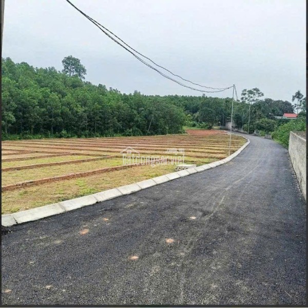 195 TRIỆU – CÓ NGAY ĐẤT THỔ CƯ, SỔ ĐỎ TRAO TAY!