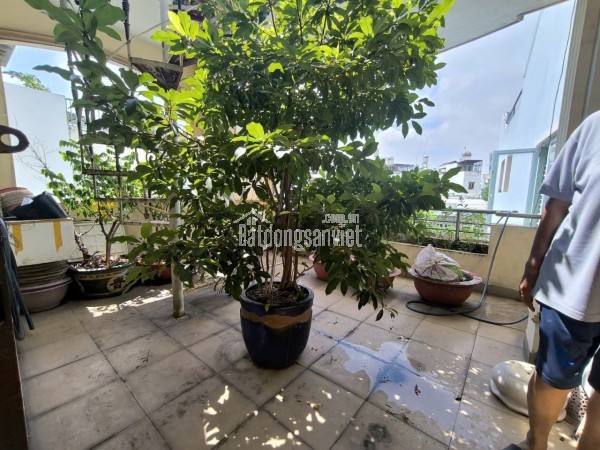 💥Chuẩn Bị Ra Nước Ngoài Sống rồi bán nhanh cái nhà 3 Tầng ÂU CƠ - P.10 - TÂN BÌNH