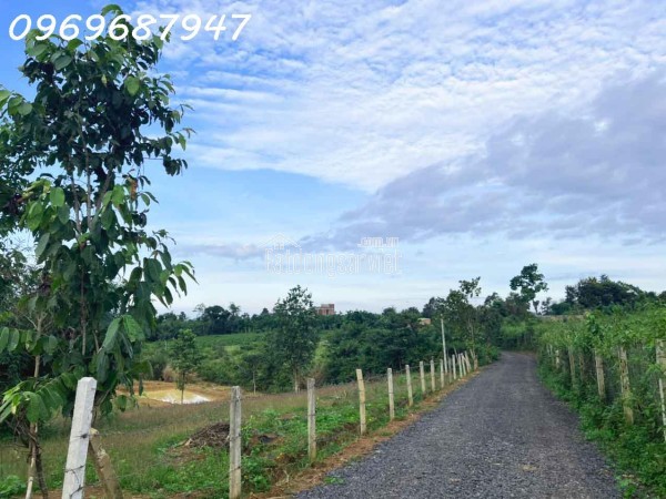 LÔ ĐẤT ĐỎ 1.3 HECTA - PHƯỜNG EAKAO - T. ĐĂK LĂK - 750TR/ SÀO