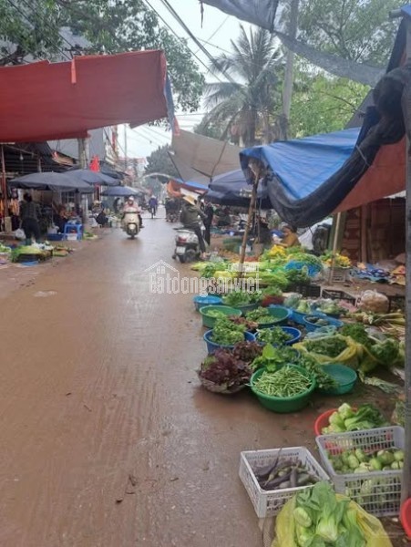 144M² ĐẤT PHƯƠNG ĐÌNH - ĐAN PHƯỢNG NAY LÀ ( LIÊN MINH ) HÀ NỘI  – Ô TÔ NGỦ TRONG NHÀ