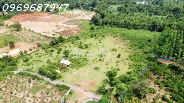 LÔ ĐẤT ĐỎ 1.3 HECTA - BUÔN MA THUỘT - 750TR/ SÀO